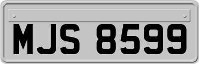 MJS8599