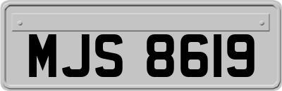 MJS8619