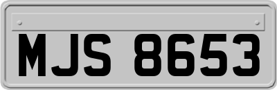 MJS8653