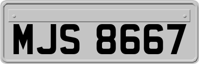 MJS8667