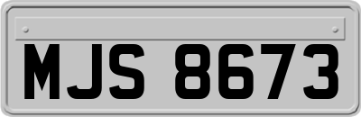 MJS8673