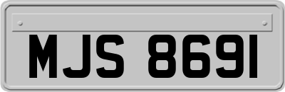 MJS8691