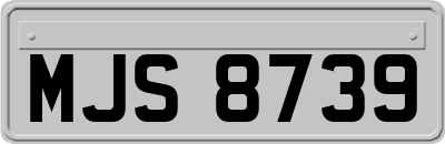 MJS8739