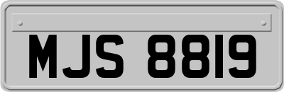MJS8819