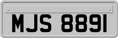 MJS8891