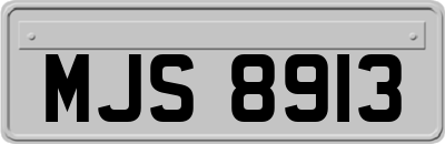 MJS8913