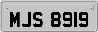 MJS8919
