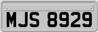 MJS8929