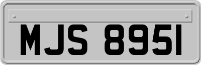 MJS8951