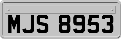 MJS8953