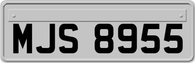 MJS8955