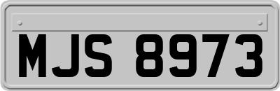 MJS8973