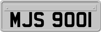 MJS9001