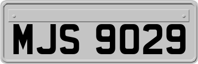 MJS9029