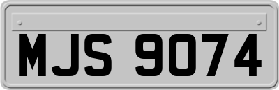 MJS9074