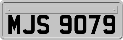 MJS9079