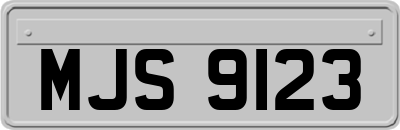 MJS9123
