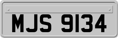 MJS9134