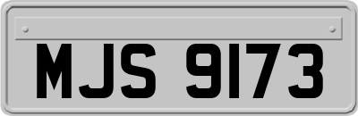 MJS9173