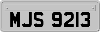 MJS9213