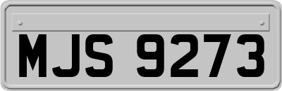 MJS9273