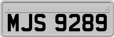 MJS9289