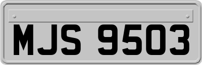 MJS9503
