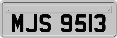 MJS9513