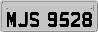 MJS9528