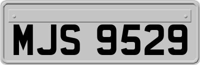 MJS9529