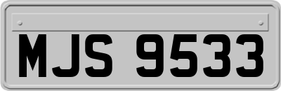 MJS9533