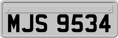 MJS9534