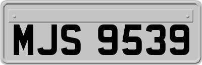 MJS9539
