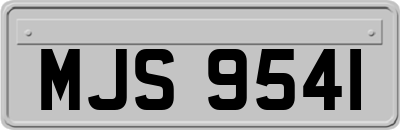 MJS9541
