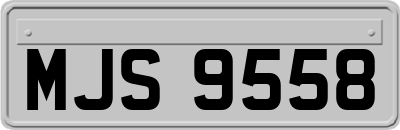 MJS9558