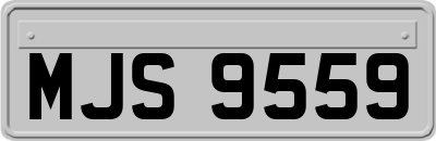 MJS9559