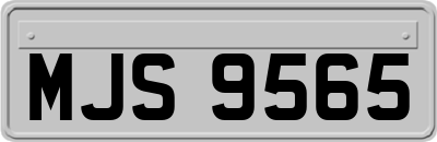 MJS9565