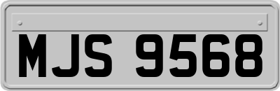 MJS9568
