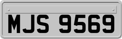 MJS9569