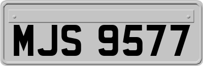 MJS9577