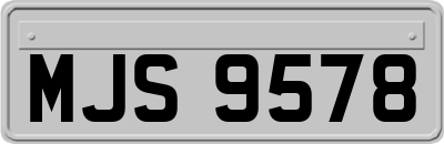 MJS9578