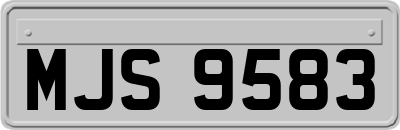 MJS9583