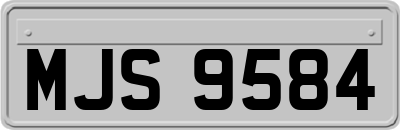 MJS9584