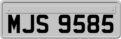 MJS9585