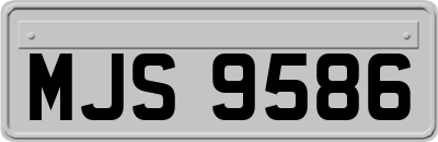 MJS9586