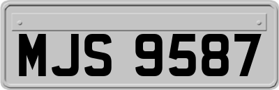 MJS9587