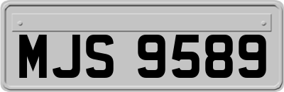 MJS9589