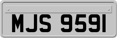 MJS9591