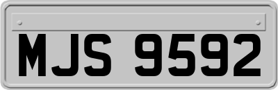MJS9592