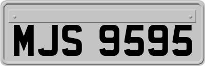 MJS9595